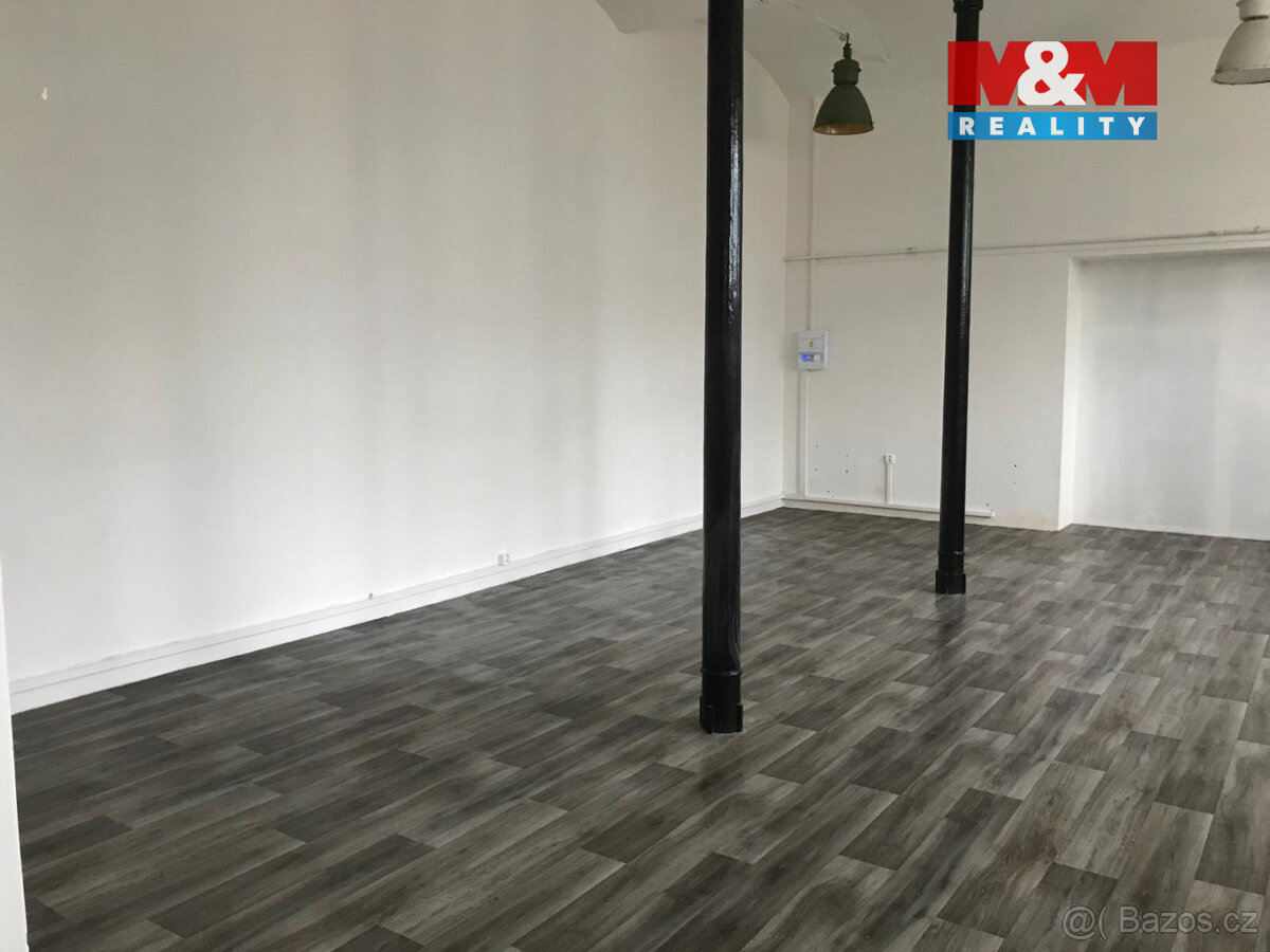 Pronájem skladu 150 m², v Brandýse nad Labem - 3