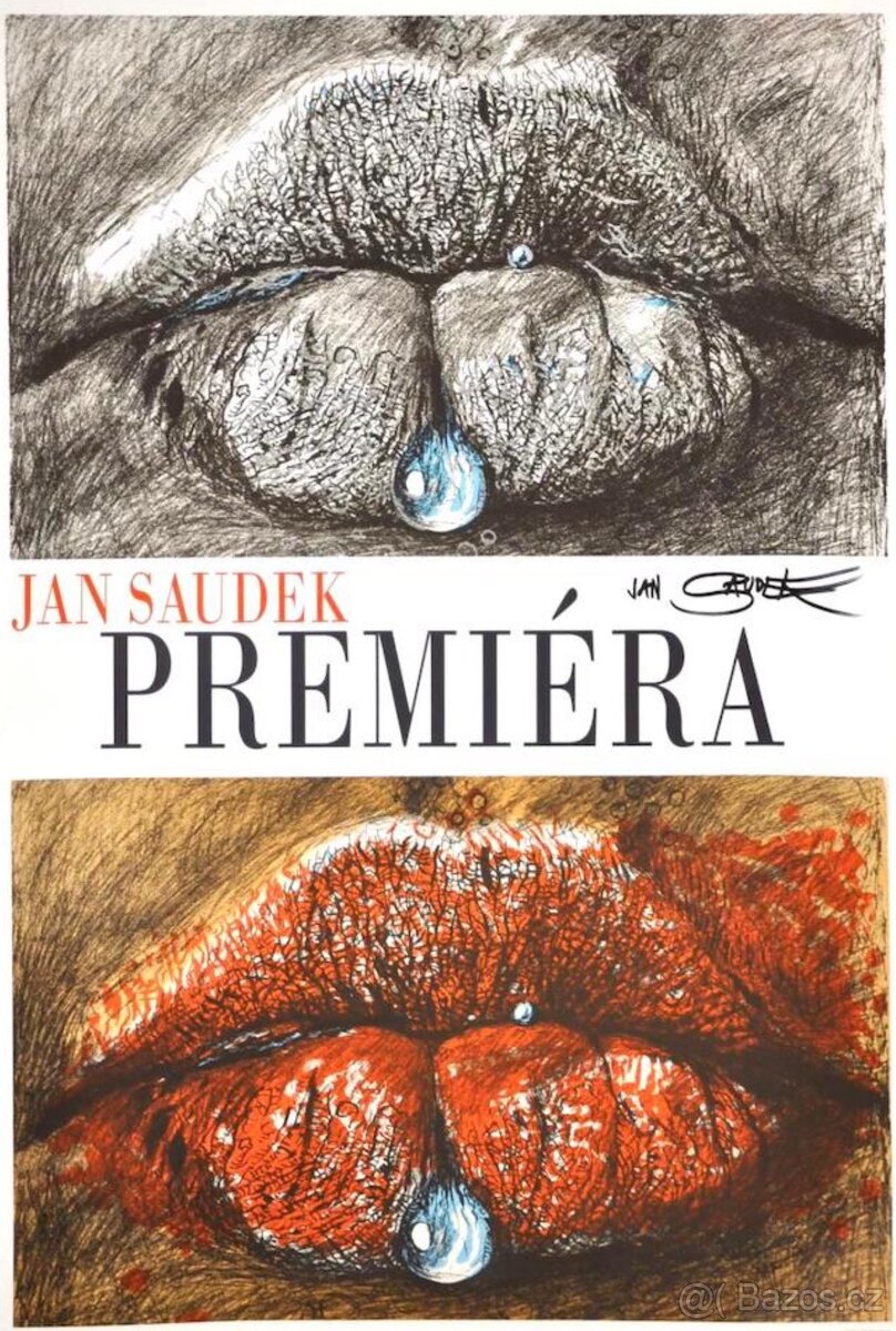 JAN SAUDEK - poster Marie č.1 v XXL rámu - 3