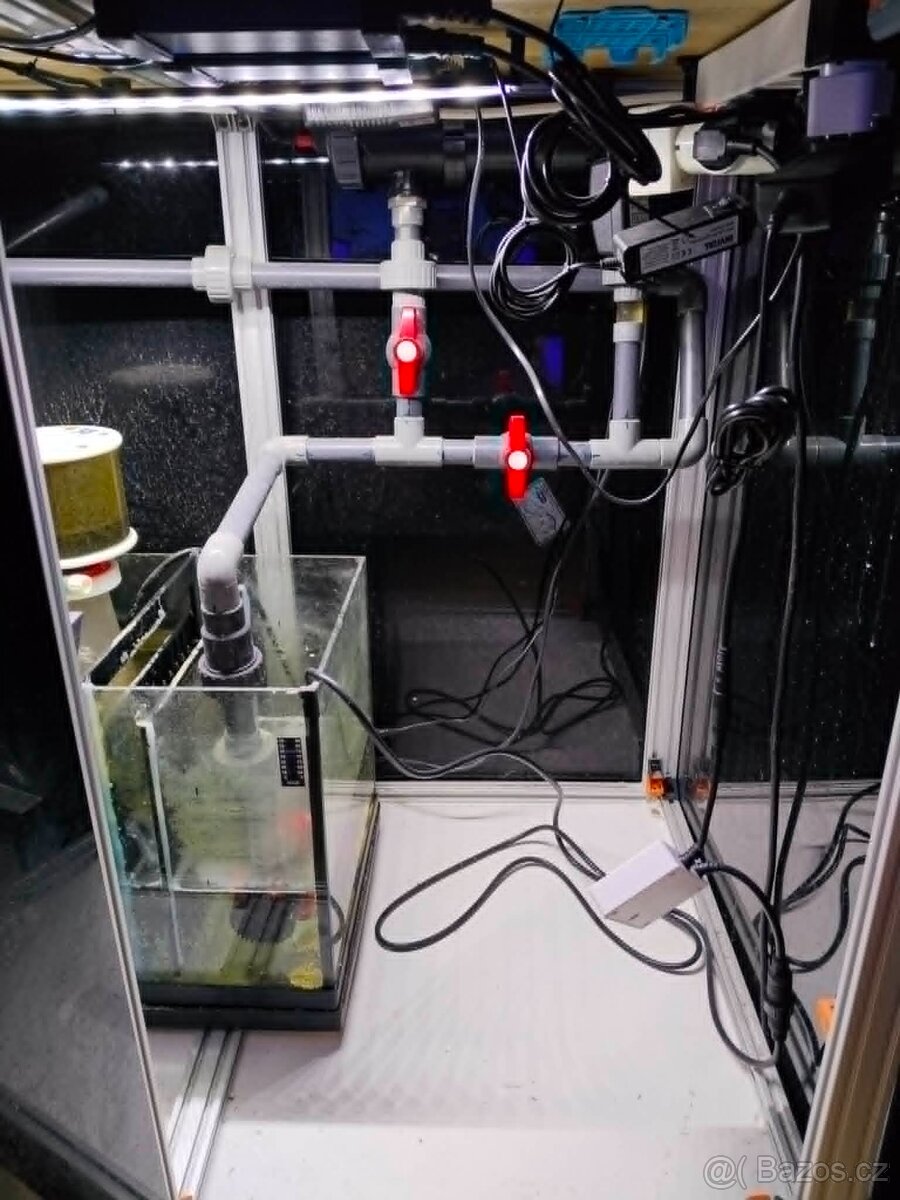 Mořské akvárium - 3