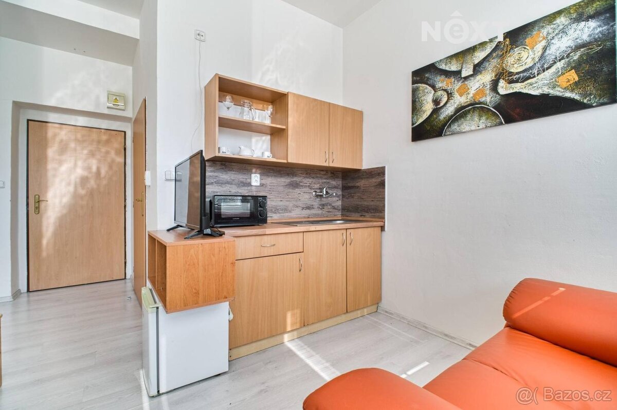 Pronájem byt 1+kk, 22㎡ - 3