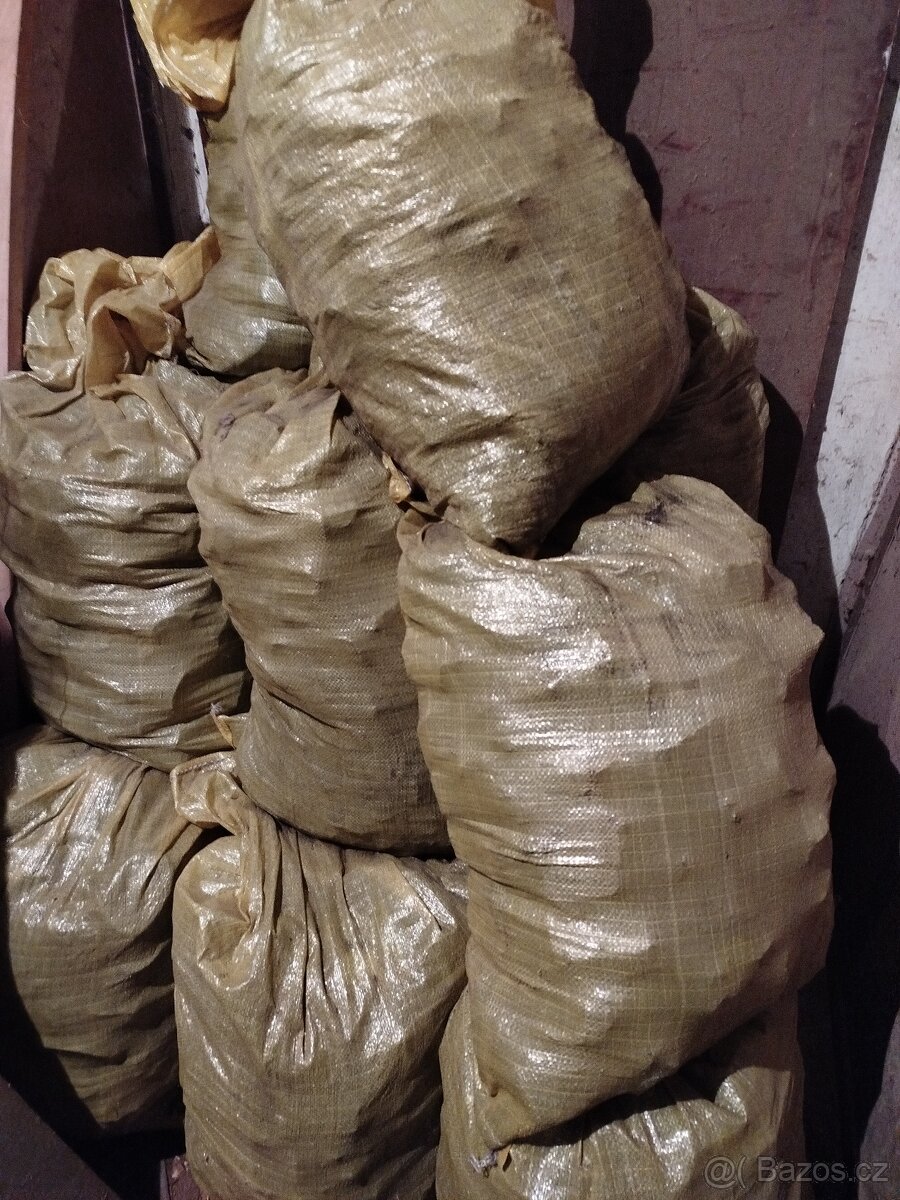 Uhlí a uhelné brikety Rekord - 3