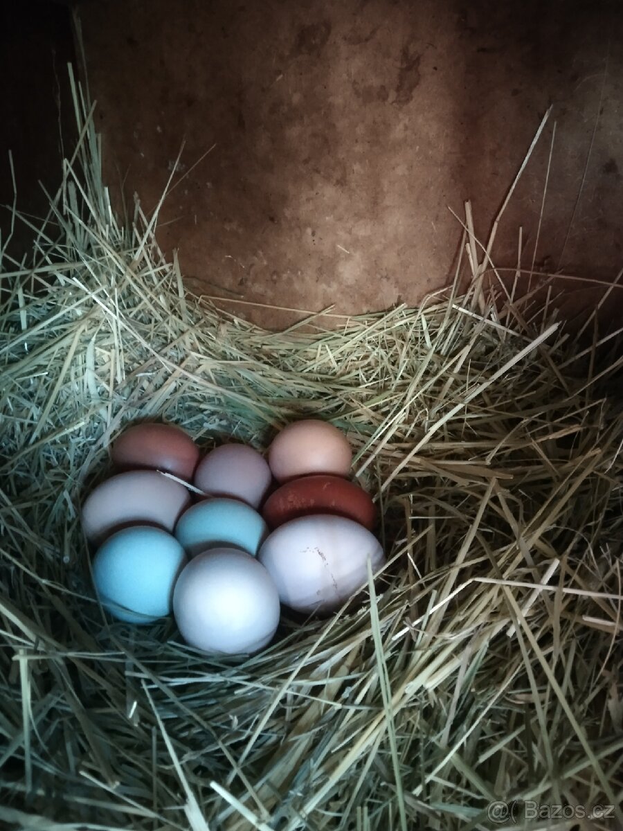 Domácí vajíčka - 3
