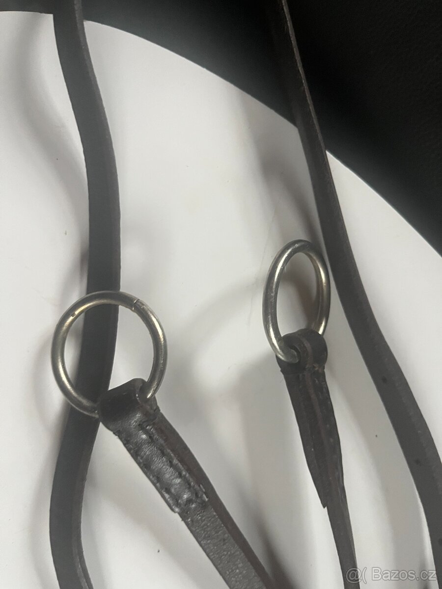 Hnědý martingal - 3