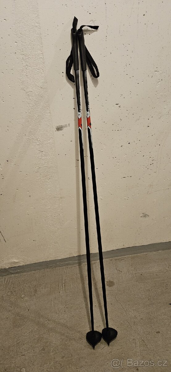 Běžky 180 cm se šupinou a hulky 140cm - 3