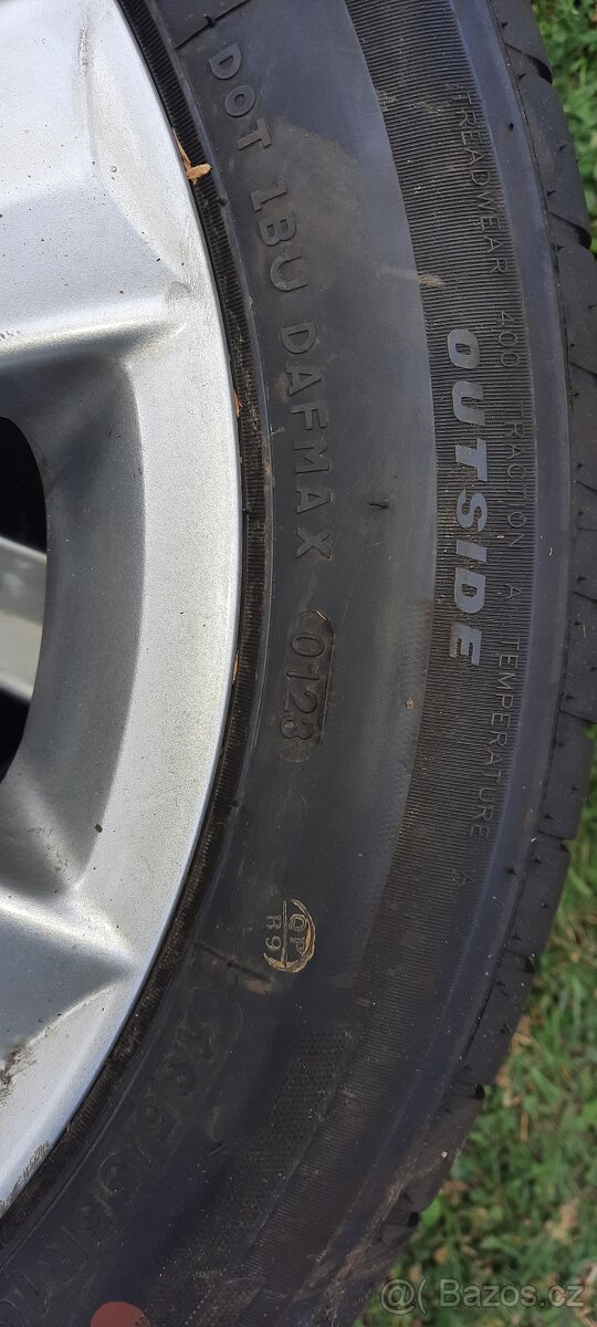 Letni sada na elektronech - 3