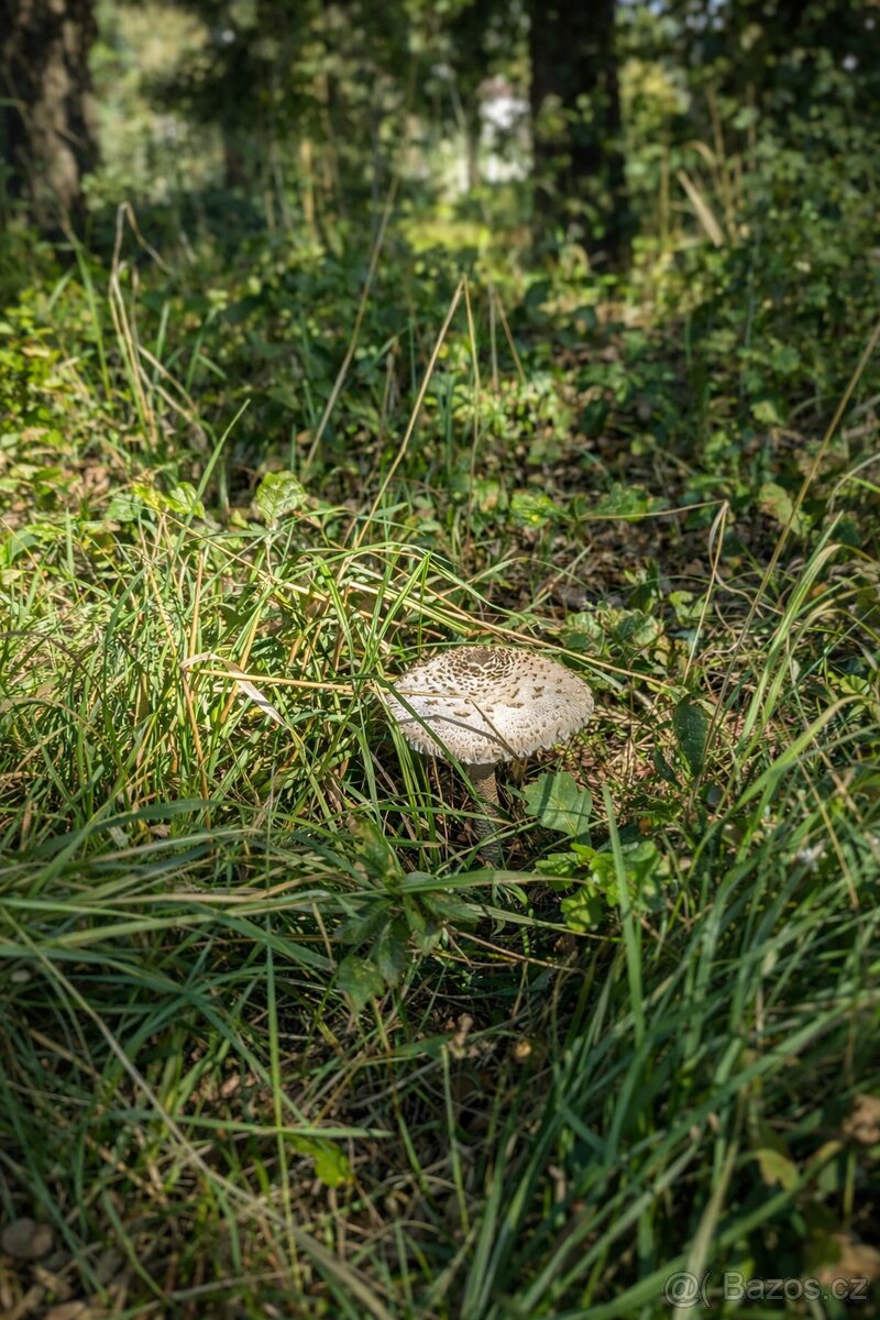 Na břehu zátoky - 3