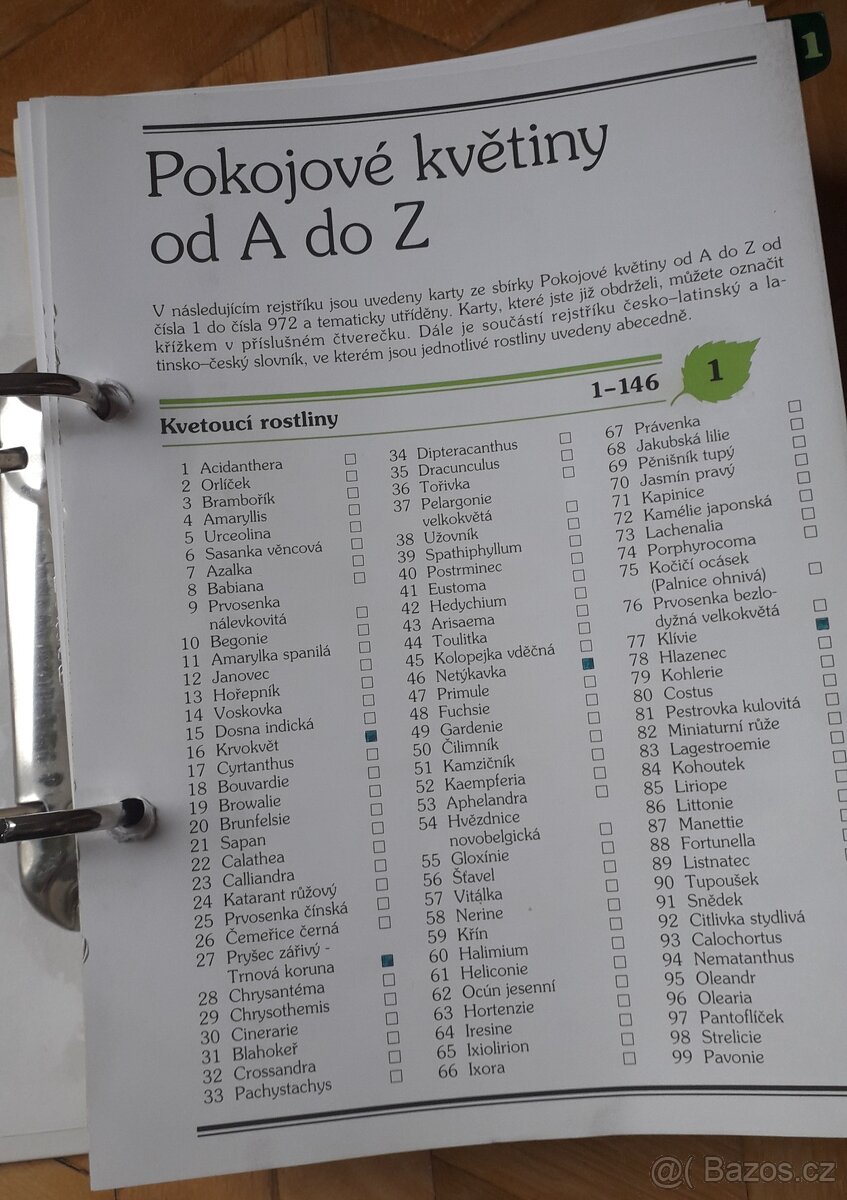 Květiny od A do Z - 3