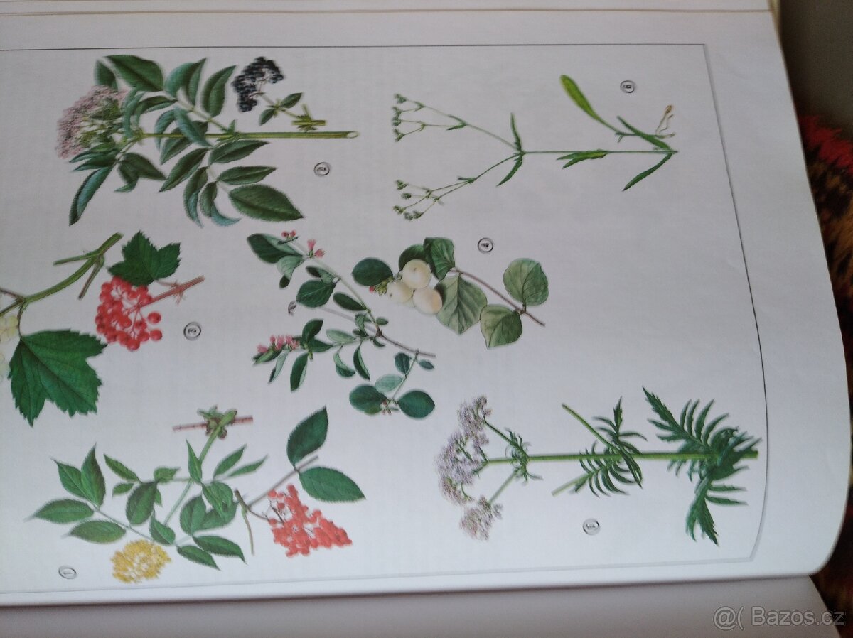 ENCYKLOPEDIE PRIRODY - 3