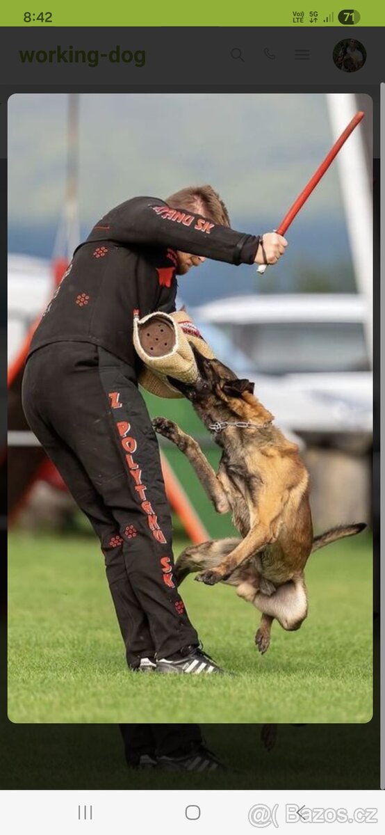 Belgický ovčák malinois - 3
