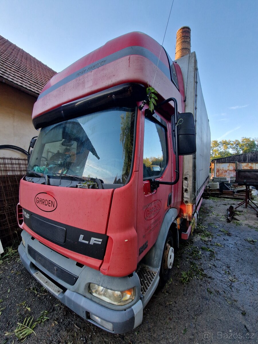 Dily Daf LF - 3