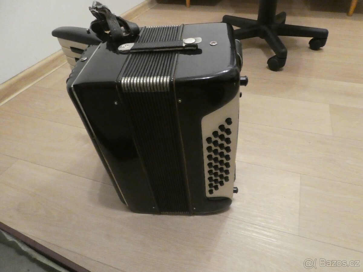 akordeon Lignatone - 3