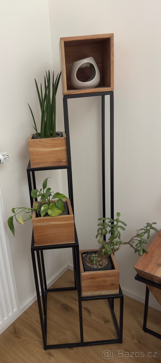 STOJAN NA KVĚTINY, akácie, černá, barvy akácie - 3