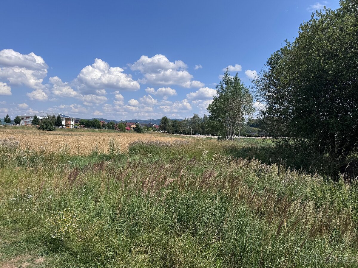 Oldřichov 1209 m2 - 3