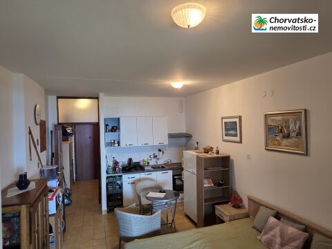 Prodej, byt 2+1, 30 m, , Česko - 3