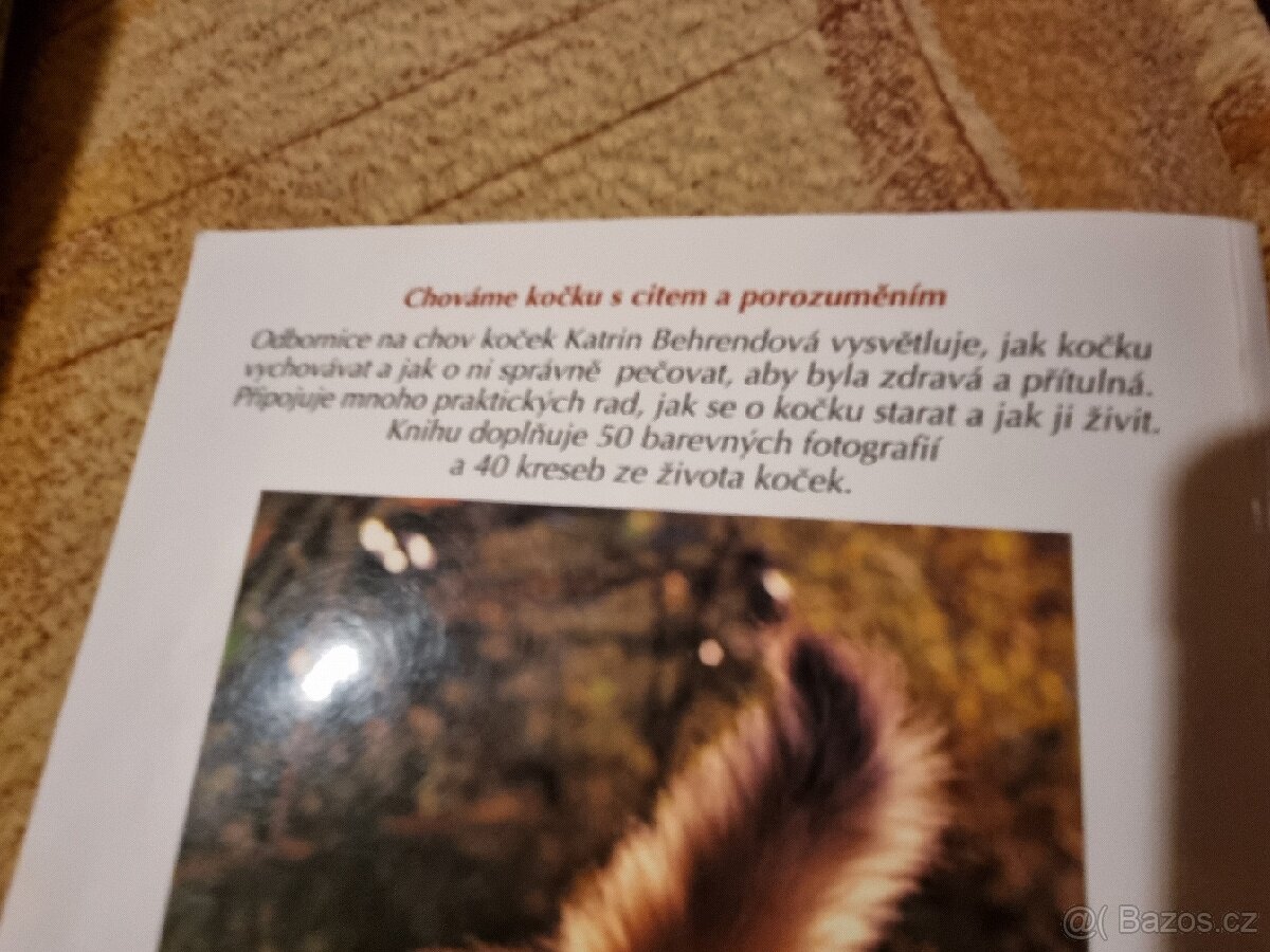 Kniha Kočka od Katrin Behrendová - 3