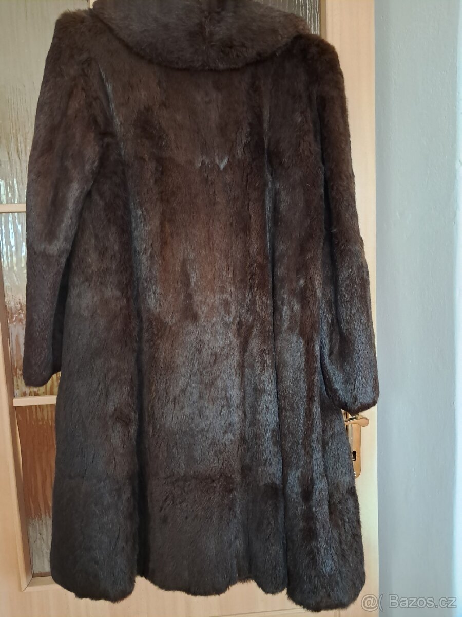 Kabat -krasný kožich - 3