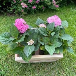 Trakař - zahradní dekorace - 3