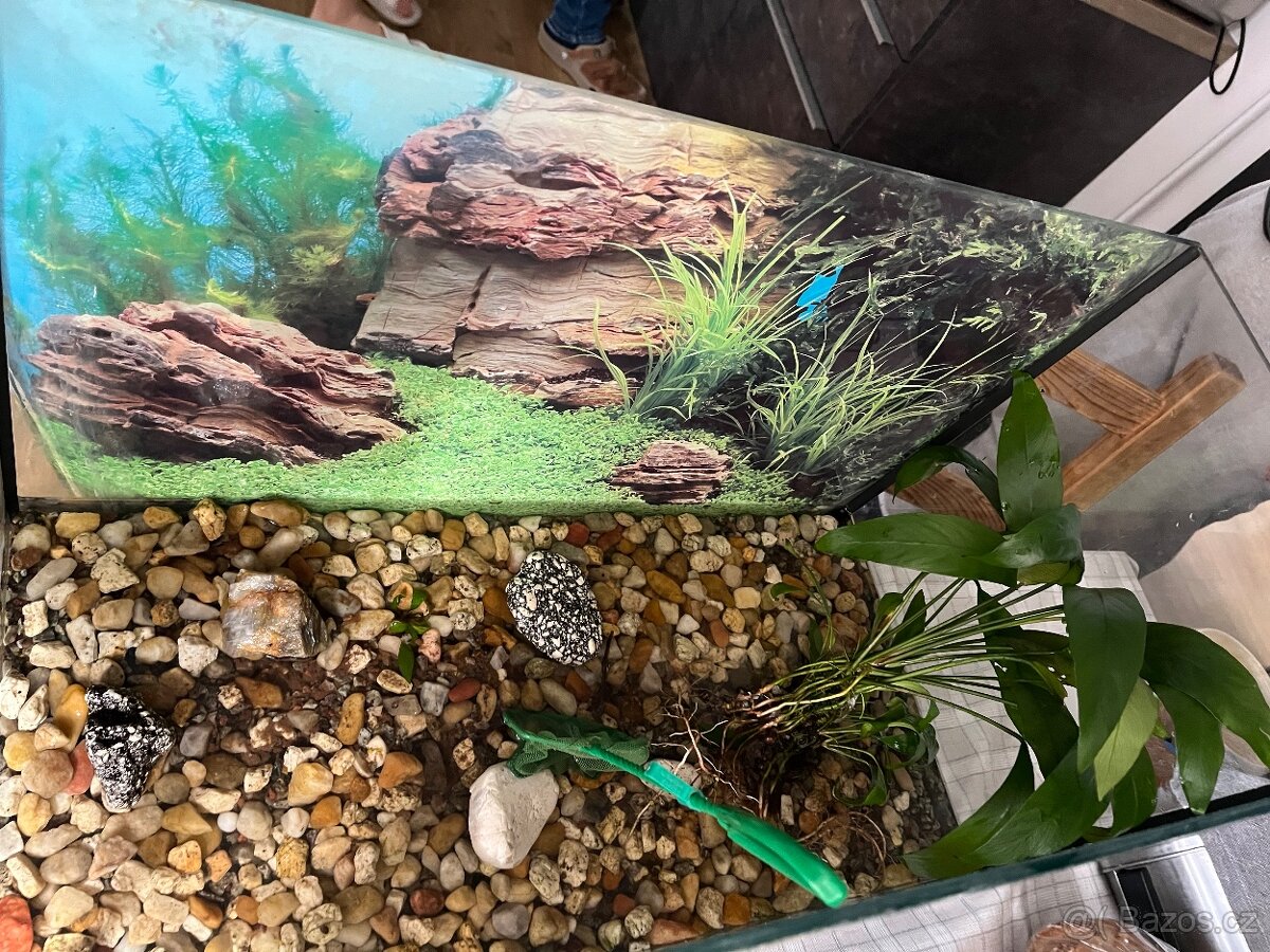 Akvárium 60l - 3