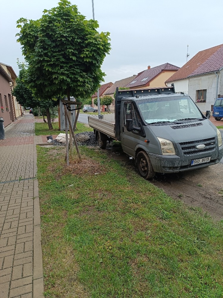 Ford tranzit t 350 - 3