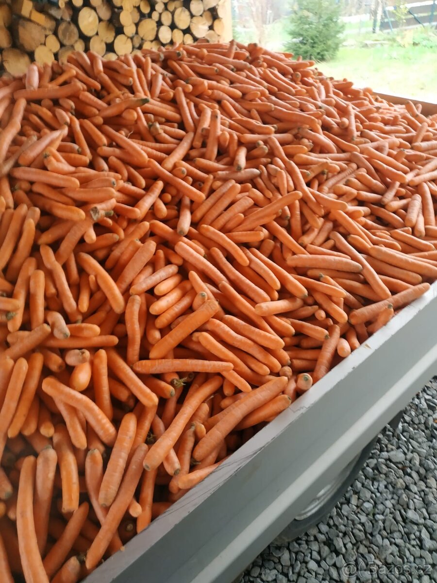 Mrkev, Cukrovarenské řízky,granule vojtěškové, senné - 3