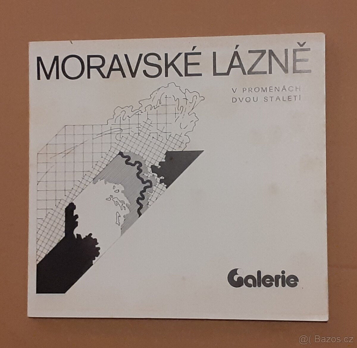 Architektura: Plečnik, Švácha, Zatloukal, Pražský hrad - 3