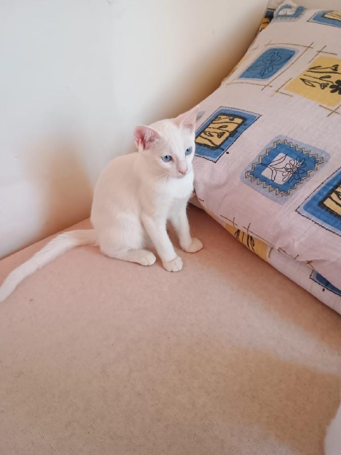 Předu, pletu, háčkuju - 3