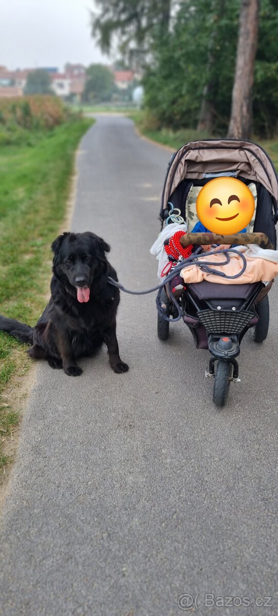 Trojkombinace TFK joggster 12 lite - 3