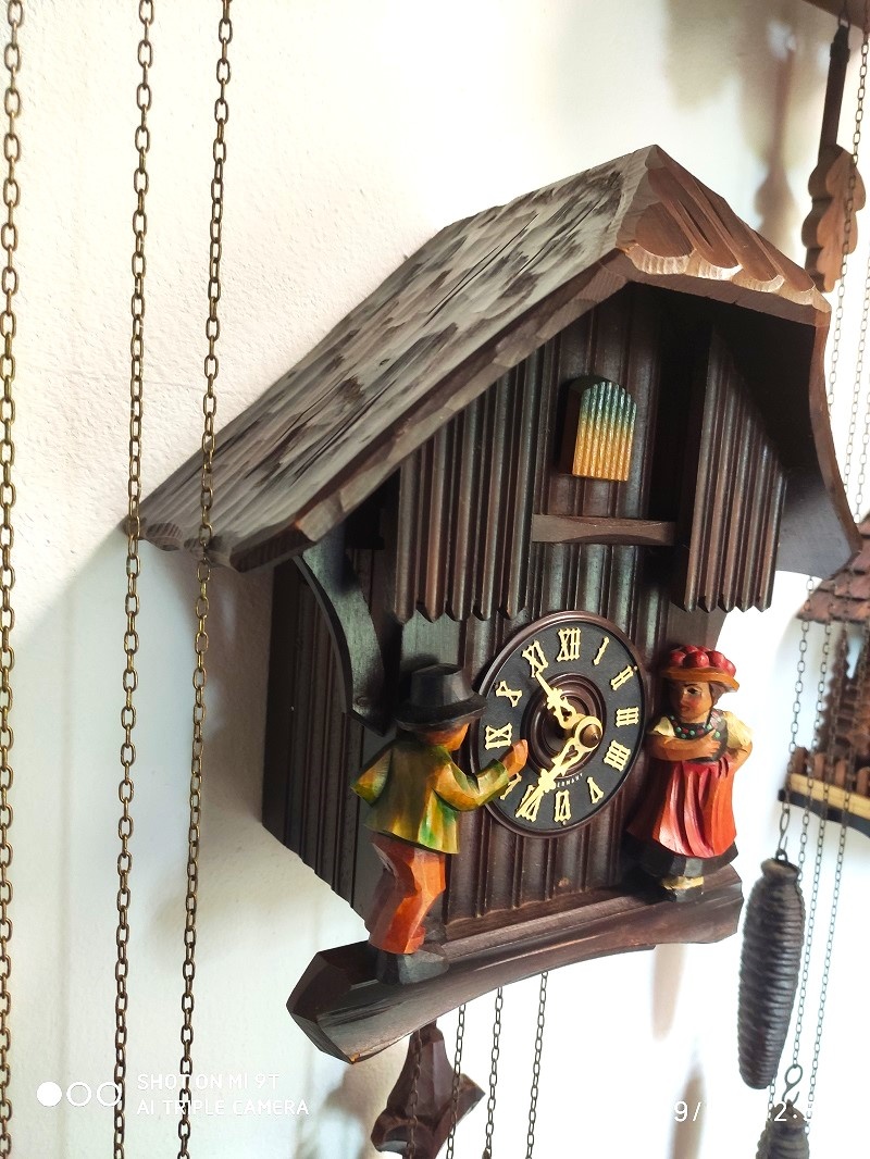 Starsi, kukacky, Schwarzwald, funkcni - 3