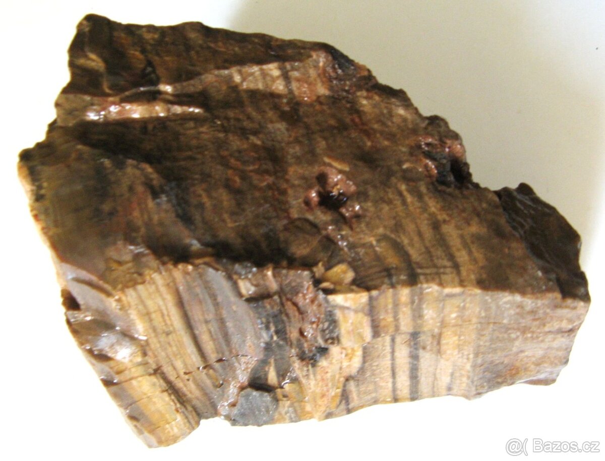 Zkamenělé dřevo - 3