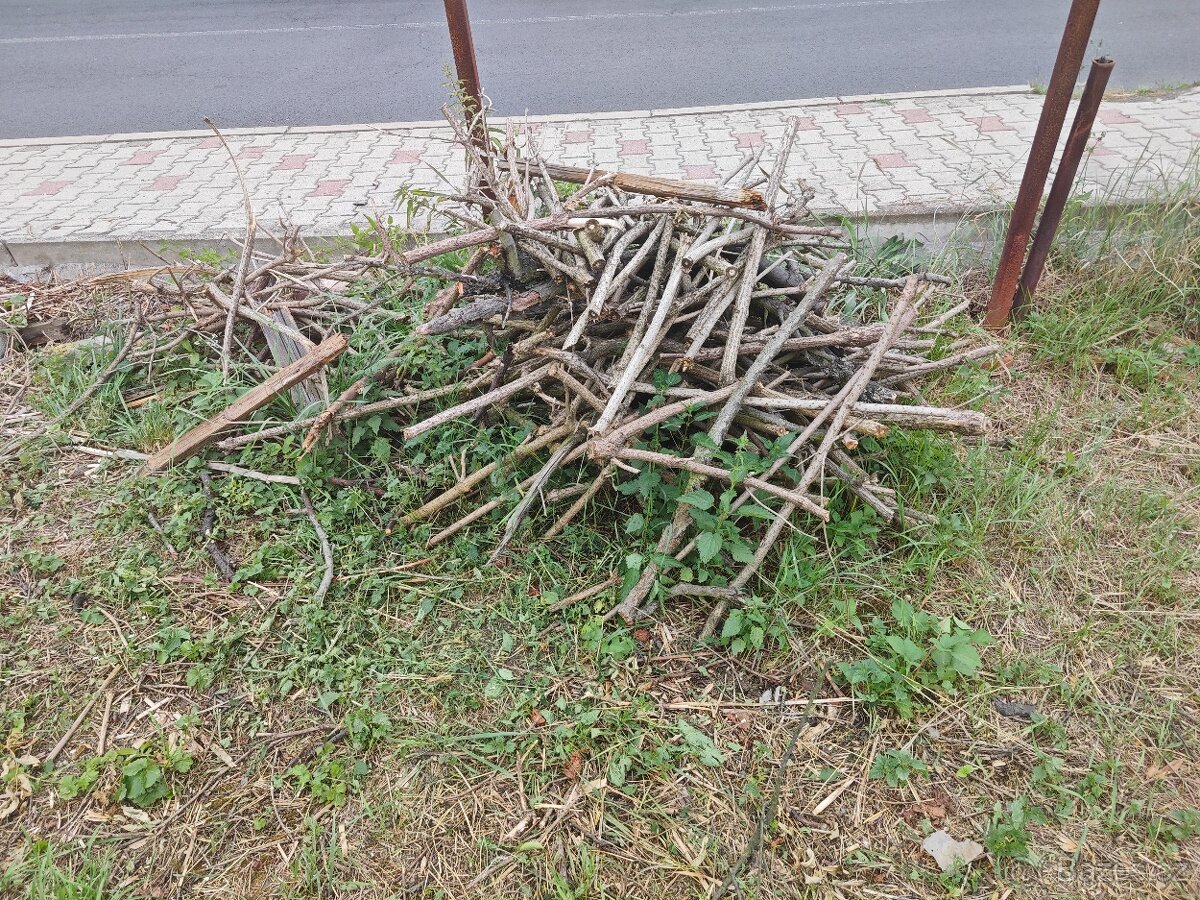 Dřevo za odvoz - 3
