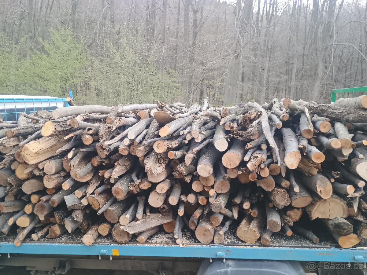 palivové dřevo tvrdé suché - 3