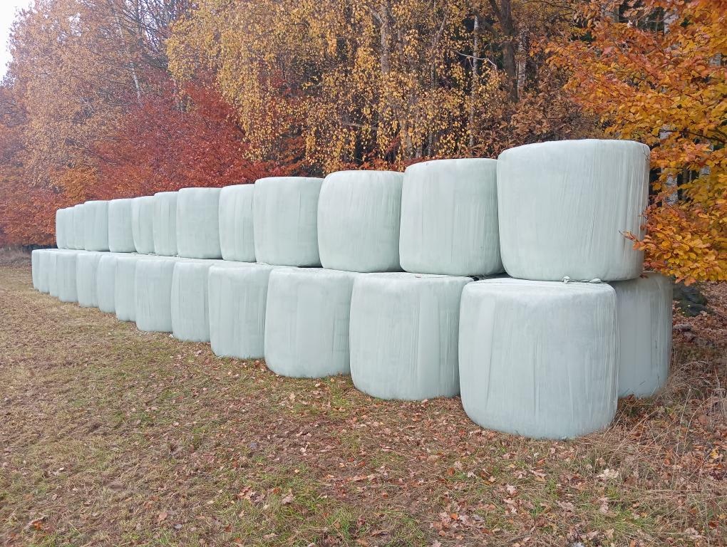 Prodám kvalitní senáž z luční směsi - 3