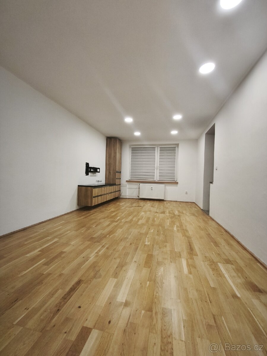 Pronájem - 3