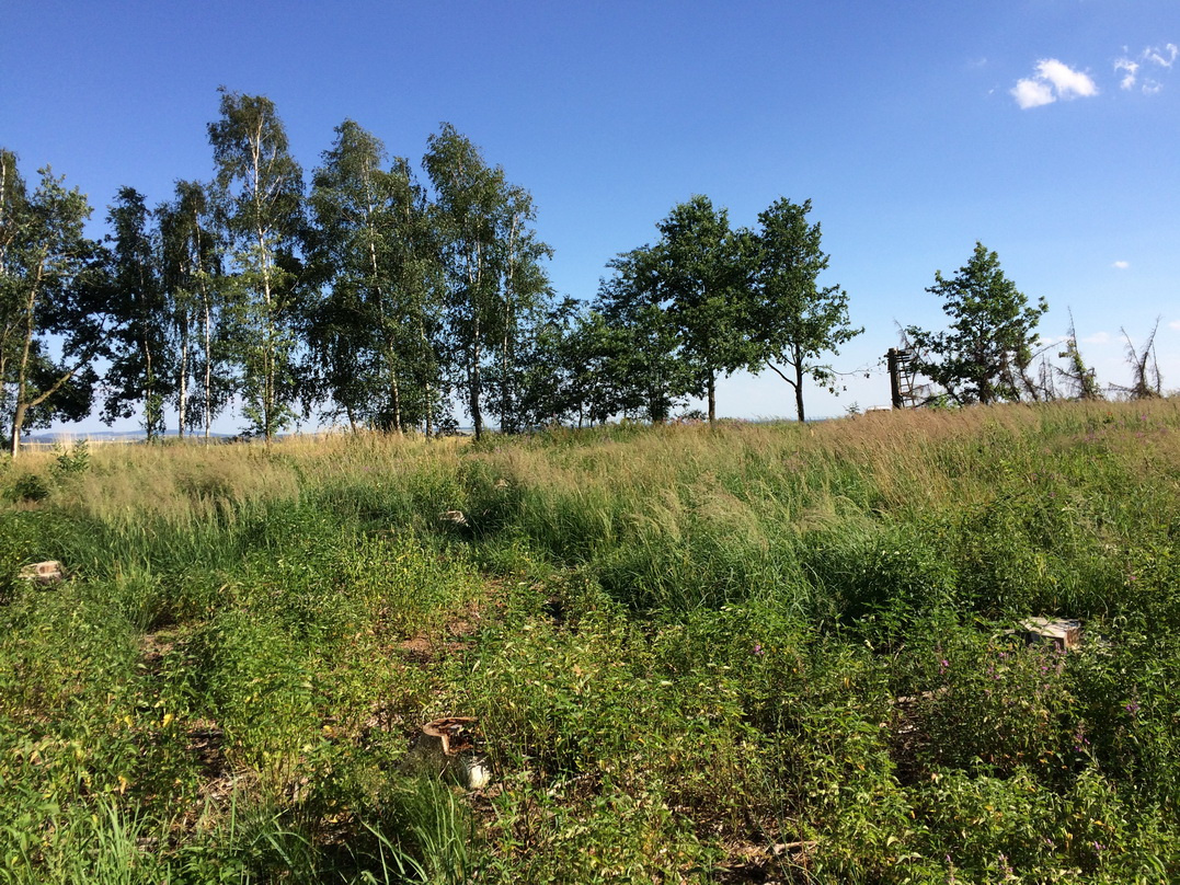 Pronájem pozemku (zahrady, louky) u Dolan, Jaroměř - 3