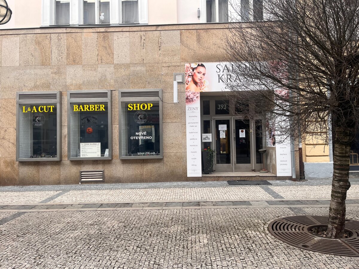 Pronájem Nebytových prostor 209 m2 - 3