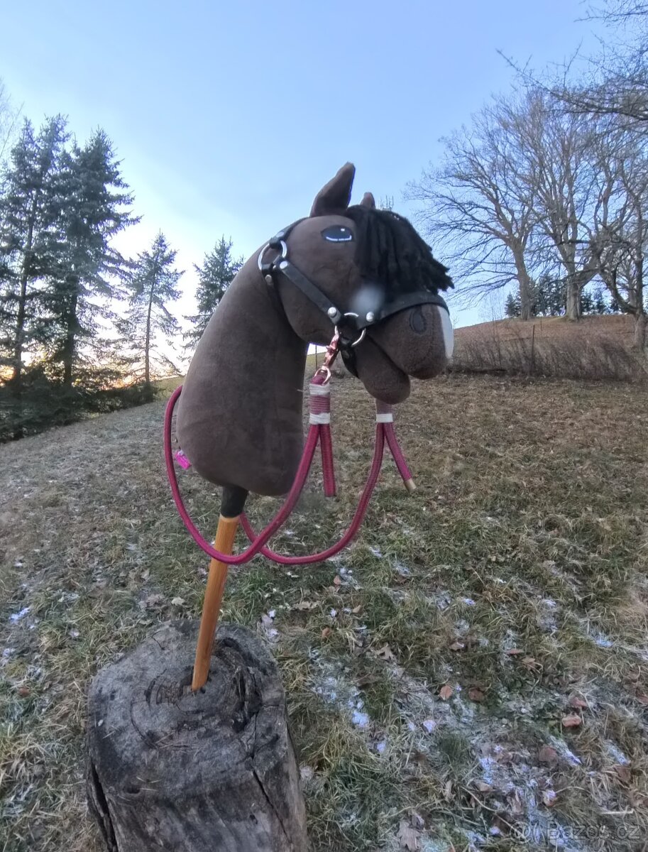 Hobby horse - 3