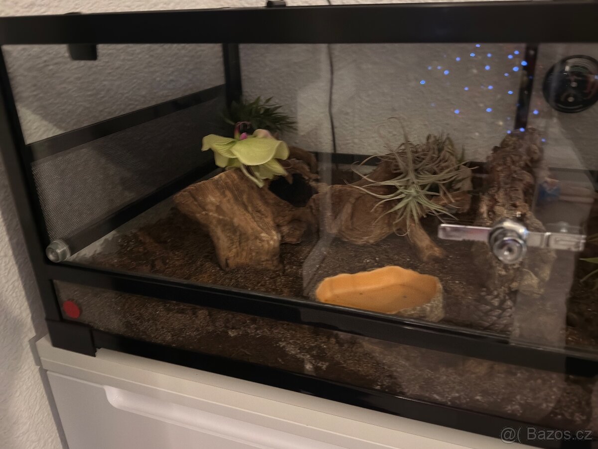 Terárium ReptiPlanet vybavené. - 3