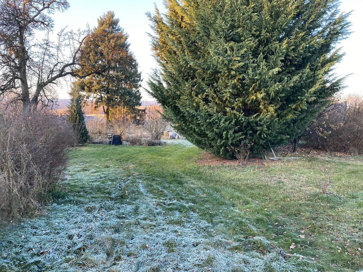 Pronájem pozemku, zahrady Kohoutov - 3