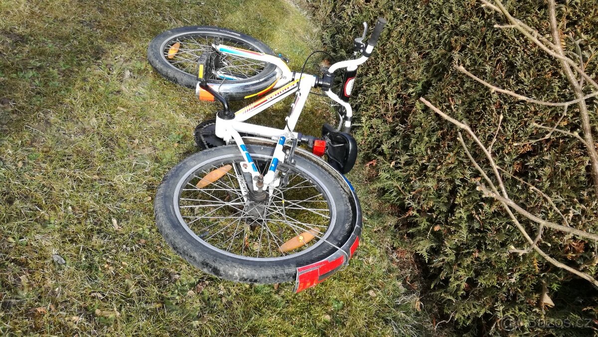 Specialized hotrock 20 - 3