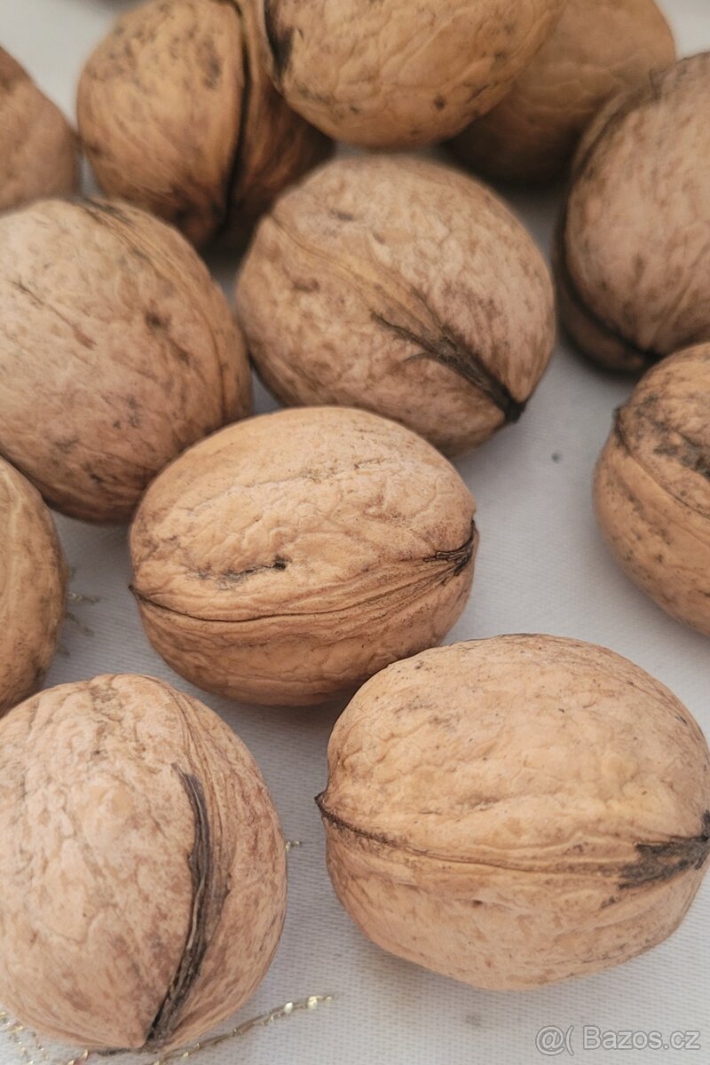 Loupane vlašske ořechy - 3