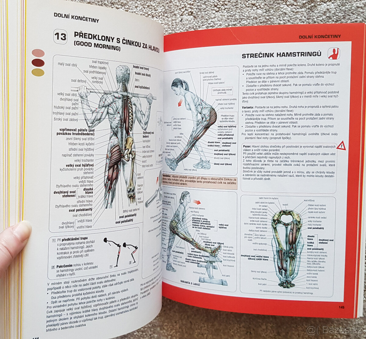 Posilování anatomický průvodce (Delavier) - 3