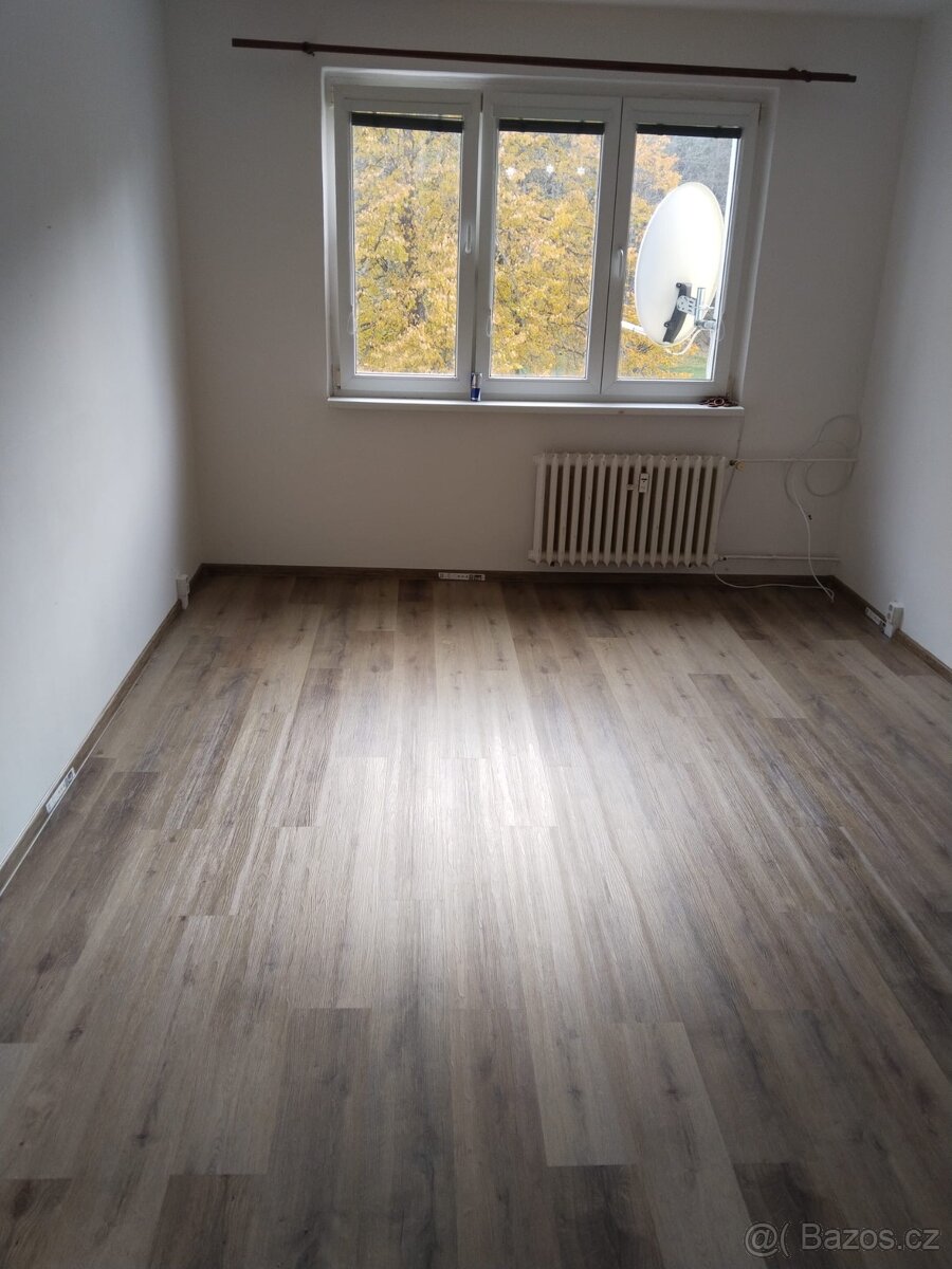 Prodám byt 2+1 Rotava - 3