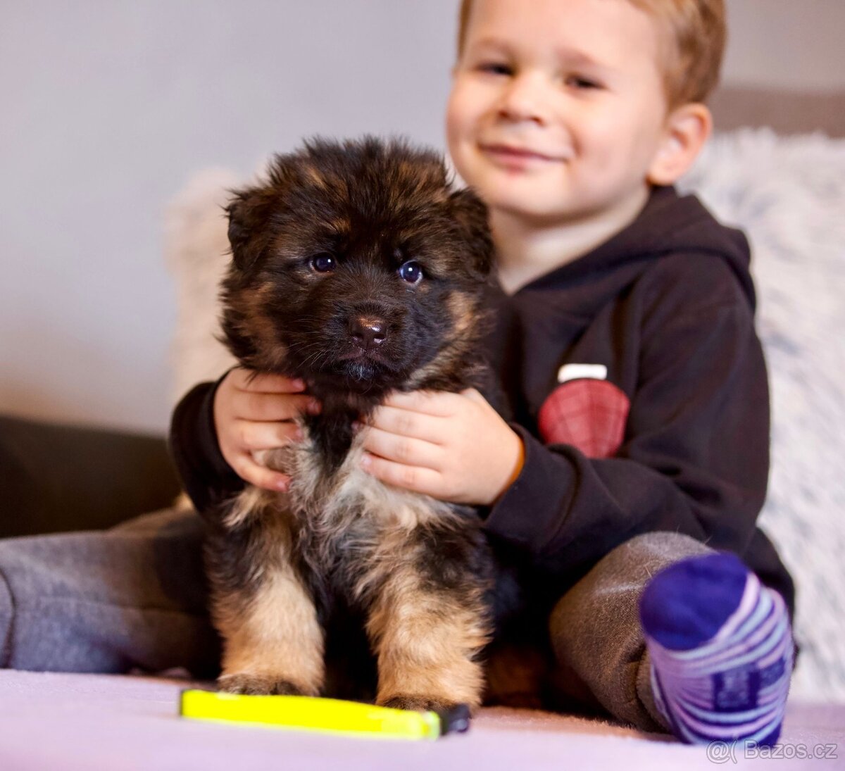 Německý ovčák štěňata - 3