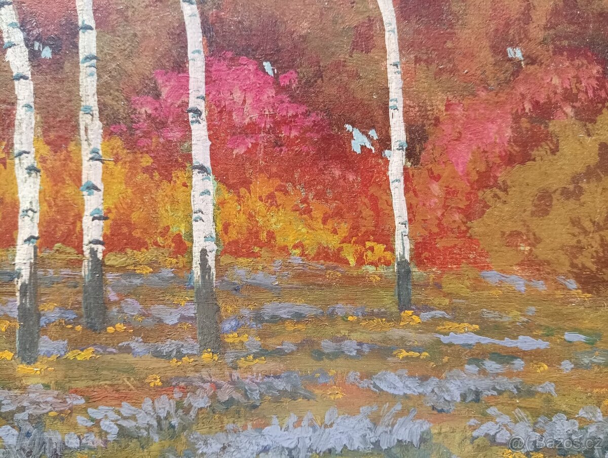 HRBEK OBRAZ OLEJ NA KARTONU - 3