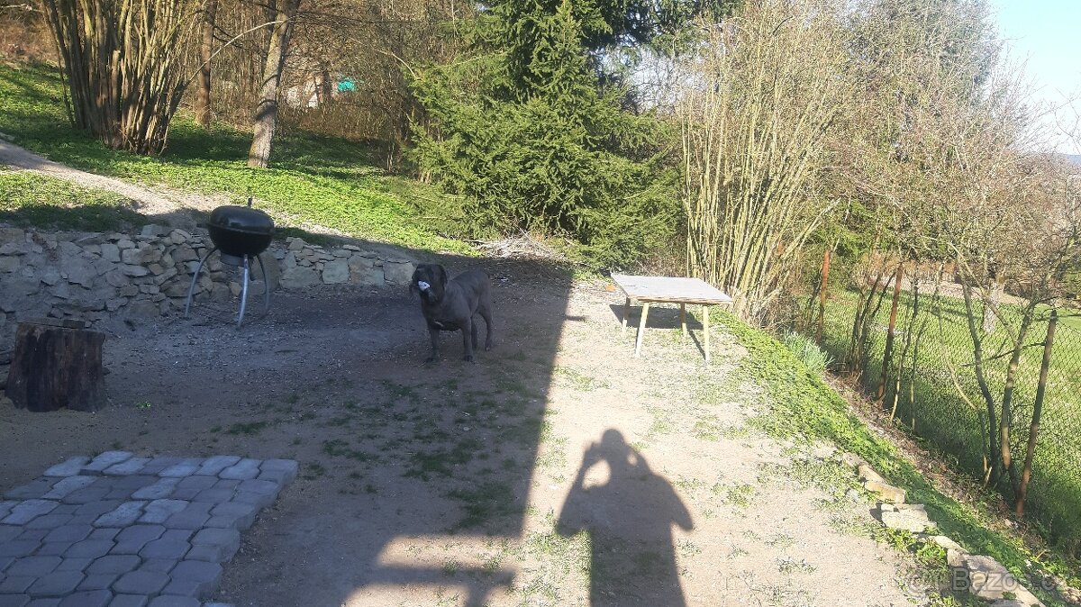 Chatka se zahradou Parník - 3