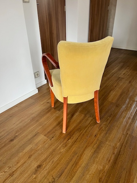 Jídelní židle - 3