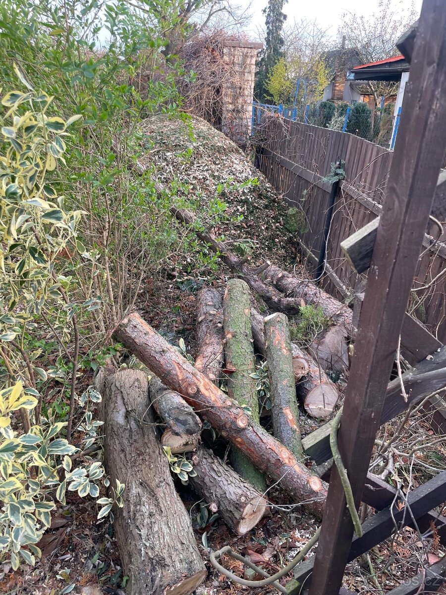 palivové dřevo - 3