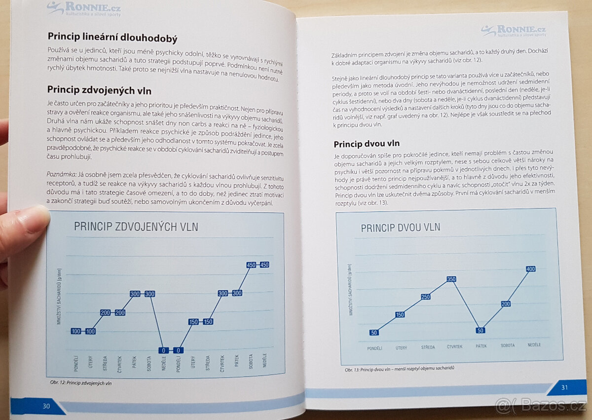 Sacharidové vlny (Michal Kulštejn) - 3
