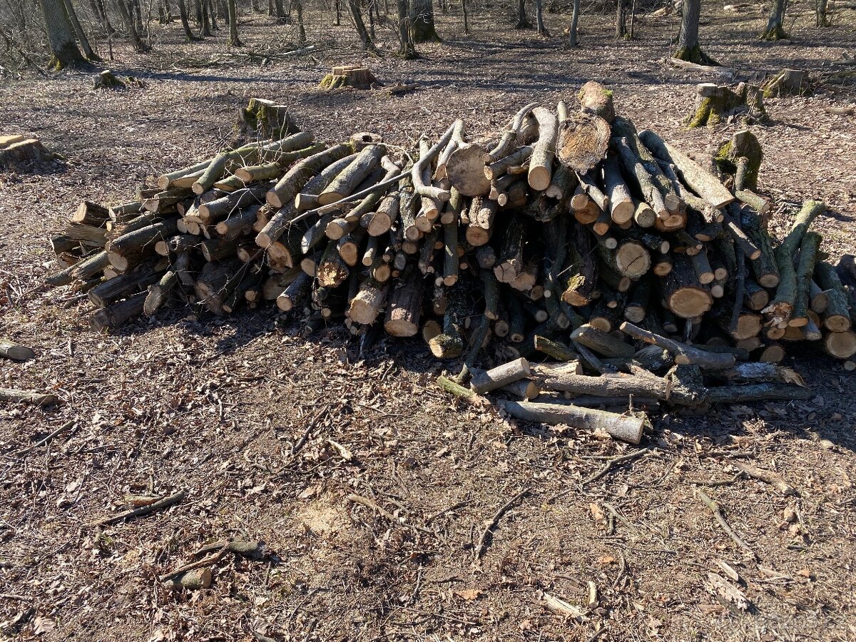 Prodám tvrdé palivové dřevo dub - 3