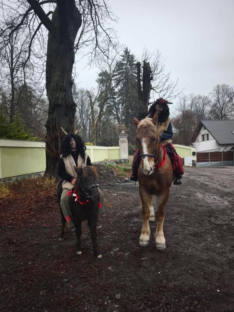 Tříletá slečna pony - 3